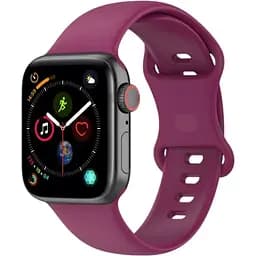 Ремінець DK CDK для Apple Watch 44mm (Series 4 / 5 / 6 / SE1 / SE2) M / L Silicone Band Double Loop