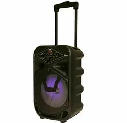 Колонка акумуляторна DMS K8-8G Bluetooth, USB, MP3, Wireless LED