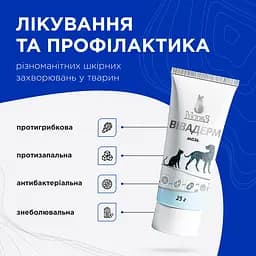 Мазь Modes Вівадерм знеболювальна, протигрибкова, протизапальна 25 г - мініатюра 3