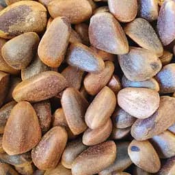 100 г кедровые орехи сушеные цельные в скорлупе - свежий урожай