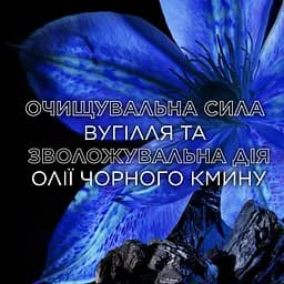 Балансуючий бальзам-ополіскувач Garnier Botanic Therapy Магнетичне вугілля, 200 мл - мініатюра 3