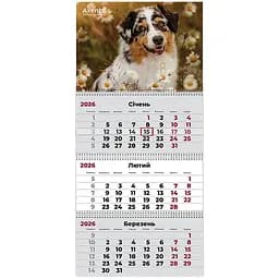 Календар настінний Axent Dogs 1 квартальний 2026 рік (8803-26-16-A) - мініатюра 2