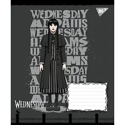 Упаковка зошитів Yes Wednesday: Школа Загадок учнівський 10 шт./48 кл. (768266) - мініатюра 6
