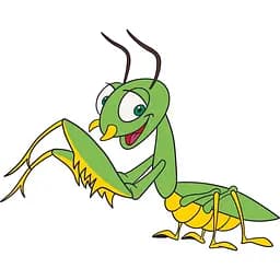 Роспись на холсте "Богомол" 15053-AC 25x30 см