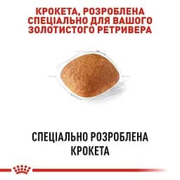 Сухий корм для дорослих собак породи Золотистий ретрівер Royal Canin Golden Retriever Adult, 3 кг (3970030) - мініатюра 4