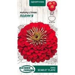 Семена Майорцы Насіння України Пламя стройные 0.5 г (805900)