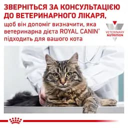 Сухий дієтичний корм для дорослих котів Royal Canin Calm у періоди адаптації при зміні умов життя, 4 кг (39550409) - мініатюра 7