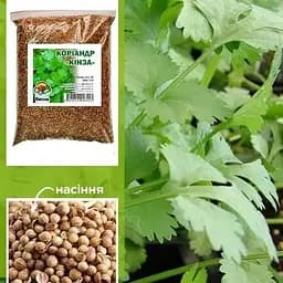 Насіння Весна Коріандр Кинза 500 г (15020)