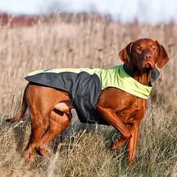 Flamingo Touchdog Coat фламинго ТАЧДог плащ попона для собак xxxl 66х89х48 см