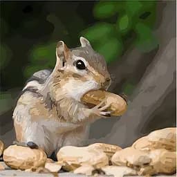 Картина по номерам Крошка бурундук 40х40 см 11610-AC