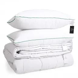 Набір MirSon вовна №9568 Gold Silk Hand Made зима ковдра 200х220 см + 2 подушки білий (2200010806342)