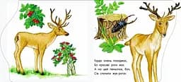 Книга Ранок Перші кроки. У зоопарку - Юлія Каспарова (С410012У) - мініатюра 4