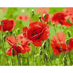 Картина по номерам Brushme Красные маки BS53703, 40х50см