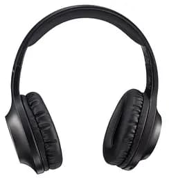 Гарнітура Panasonic RB-HX220BEE-K (RB-HX220BEEK) - мініатюра 11