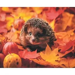 Алмазная мозаика Осень в колючках SK88227 40х50 см