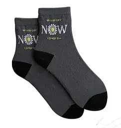 Набір шкарпеток 3 пари з написами ORGANIC cotton безшовні JILL ANTONY 35-37 - мініатюра 2