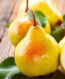 Саджанець Agro-Market Груша жовта Корсунська (Korsuns'ka) (преміальний річний сорт, на компот і варення) 1 шт. в упаковці (51134)