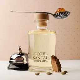 Аромат для дому Sister's Aroma Hotel Santal 250 мл - мініатюра 2
