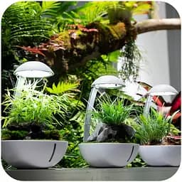 Мінітераріум Chihiros Tiny Terrarium Egg з LED-підсвіткою та керуванням через застосунок - мініатюра 3