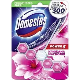 Туалетный блок Domestos Power 5 Ледяная магнолия 
