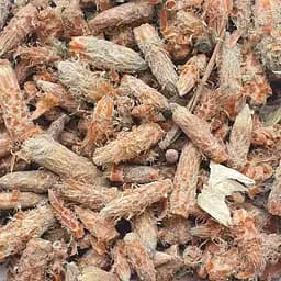 100 г сосна почки сушеные - свежий урожай