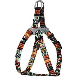 Шлея для собак дрібних порід BronzeDog Urban Етнічний ментол XS 33-40 см
