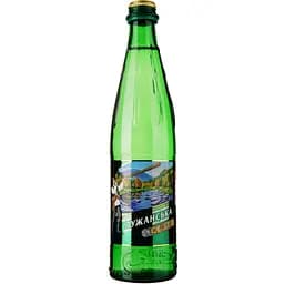 Минеральная вода Лужанская лечебно-столовая сильногазированная стекло 0.5 л (322706)