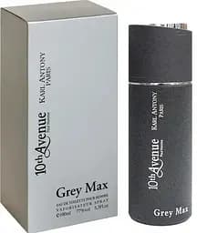 Туалетная вода Туалетная вода 10th Avenue Grey Max Pour Homme 100 мл