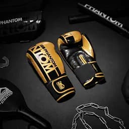 Боксерські рукавички Phantom 16 унций fit0011755 - мініатюра 10