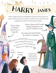 Pocket Potters: Harry Potter - Ролінґ Джоан - мініатюра 4
