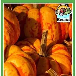 Насіння Весна Гарбуз Солодкий пиріг Новий пакет 2 г (23236)