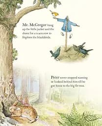 The Tale of Peter Rabbit Picture Book - мініатюра 7