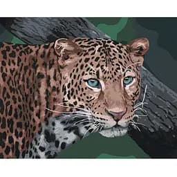 Картина по номерам Ideyka Дикий взгляд KHO4300 40х50 см