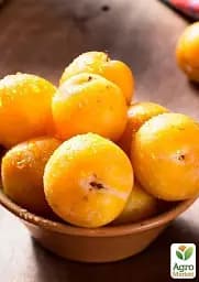 Саджанець Agro-Market Слива Жовта Афаска (літній сорт, середній термін дозрівання) 1 шт. в упаковці (39969) - мініатюра 2