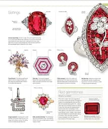 The Definitive Visual Guide: Jewel - мініатюра 5