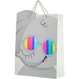 Пакет подарунковий XDW111145 Сірий