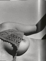Ralph Gibson. Nude - мініатюра 2