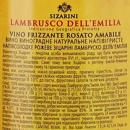 Вино Sizarini Lambrusco ігристе рожеве напівсолодке 8% 0.75 л (478691) - мініатюра 3