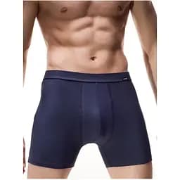 Чоловічі труси-шорти Cornette 220 Perfect-Authentic сині L
