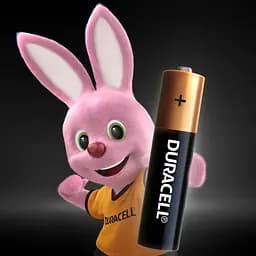 Лужні батарейки мізинчикові Duracell 1,5 V AAA LR03/MN2400, 2 шт. (706007) - мініатюра 2
