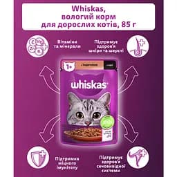 Вологий корм для котів Whiskas з індичкою в соусі 85 г - мініатюра 6