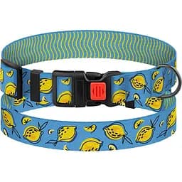 Нашийник для собак BronzeDog Urban Fruits L