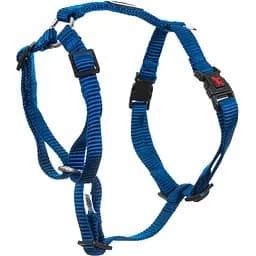 Шлея для собак GimDog Harlem X, 1,0х32/44 см, блакитна