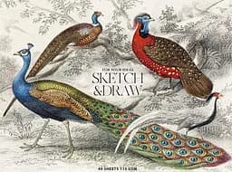 Блок для ескізів та малювання А5 40 арк. MUSE. Професійний блок Школярик (ВД-лак) PB-GB-040-068 4823088230680