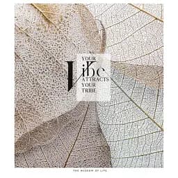 Тетрадь общая Школярик The Wisdom of Life 080-3164K-1 в клеточку 80 листов