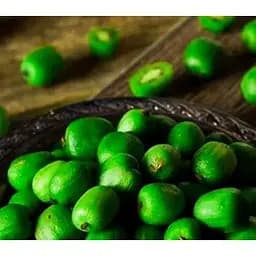 Саджанець Agro-Market Актинідія Київська великоплідна (міні-ківі, морозостійкий сорт, пізній термін дозрівання) 1 саджанець (44815) - мініатюра 2