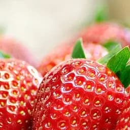 Саджанець Agro-Market Полуниця Ельсанта (Elsanta) (середньо-ранній термін дозрівання, відмінна транспортабельність) 5 шт. в пакуванні (36947)