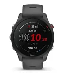 Смарт-годинник Garmin Forerunner 255 Slate Gray [010-02641-00/10] [70205] - мініатюра 2