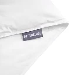 Ковдра Penelope - Gold 13,5 tog пухова 240x260 Super King size - мініатюра 7