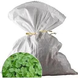 Кінза Весна 3 кг (43767)